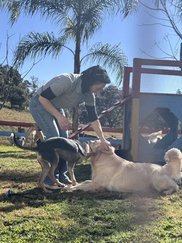 Cuidadora fazendo carinho em um cão